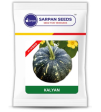 Pumpkin / Kaddoo Sarpan Kalyan 50 grams